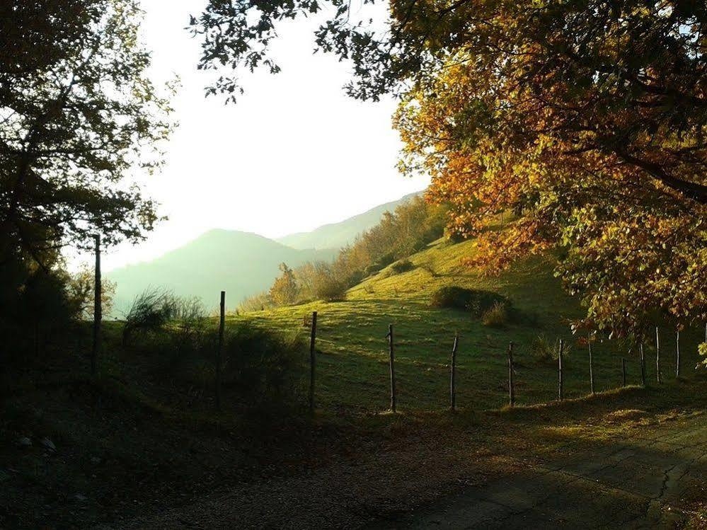 Agriturismo Orsaiola Urbania Exteriér fotografie